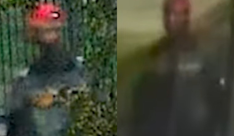 Metropolitan Police Seek Help Identifying Individual in Southeast Homicide Case