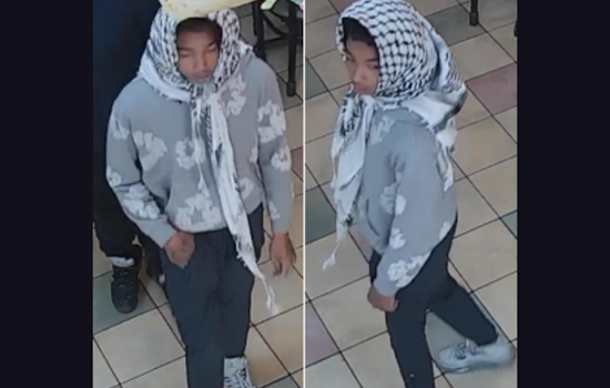 Metropolitan Police Seek Public Aid to Apprehend Suspect in Northwest DC Armed Robbery