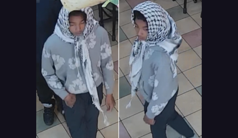 Metropolitan Police Seek Public Aid to Apprehend Suspect in Northwest DC Armed Robbery