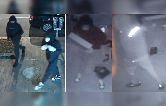 Metropolitan Police Seek Public Assistance in Solving Series of Burglaries in Southeast and Northwest D.C.