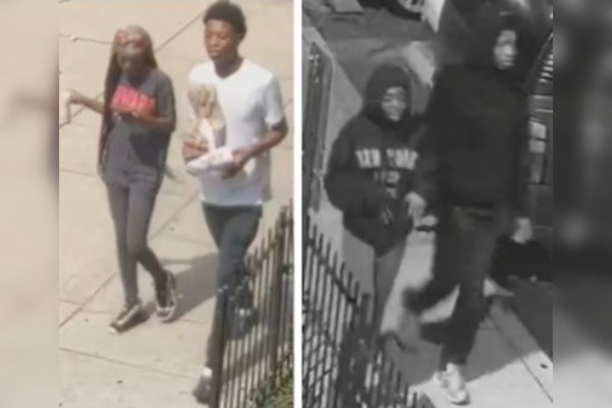 Metropolitan Police Seek Public's Aid in Solving Southeast D.C. Armed Carjacking and Robbery Cases