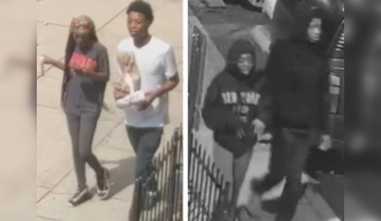 Metropolitan Police Seek Public's Aid in Solving Southeast D.C. Armed Carjacking and Robbery Cases