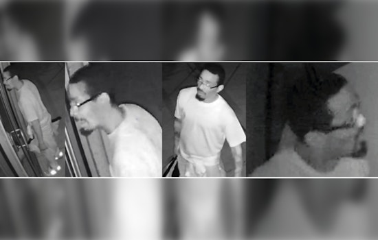 Metropolitan Police Seek Public's Help to Identify Suspect in Southeast Burglary