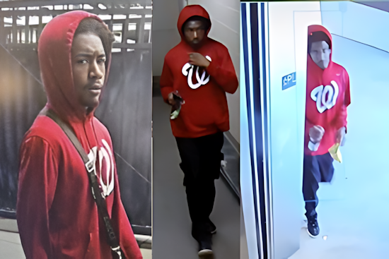 Metropolitan Police Seek Suspect in Series of Navy Yard Thefts, Offer $1,000 Reward for Information