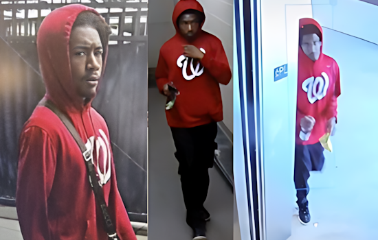 Metropolitan Police Seek Suspect in Series of Navy Yard Thefts, Offer $1,000 Reward for Information