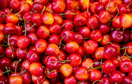 Michigan Mulls Making Cherry Official State Fruit to Support Struggling Industry