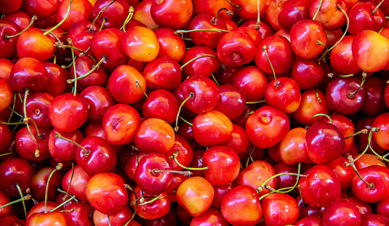 Michigan Mulls Making Cherry Official State Fruit to Support Struggling Industry