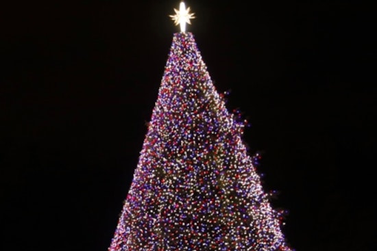 Milwaukee Launches Quest for the Ideal 2024 Christmas Tree for Deer District's Seasonal Splendor