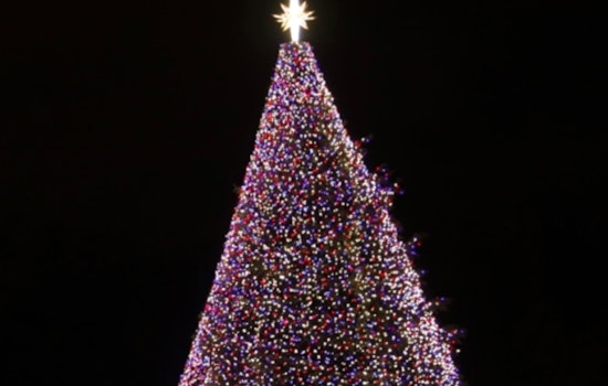 Milwaukee Launches Quest for the Ideal 2024 Christmas Tree for Deer District's Seasonal Splendor