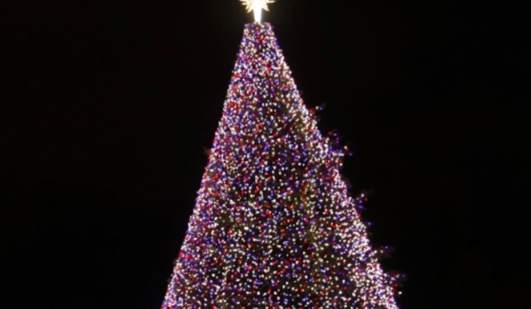 Milwaukee Launches Quest for the Ideal 2024 Christmas Tree for Deer District's Seasonal Splendor