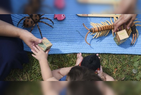 Minneapolis Introduces Nature Play Groups to Fuse Outdoor Play with Education This Fall