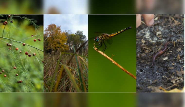 Minneapolis Parks to Host BioBlitz Events, Explore and Document Local Biodiversity