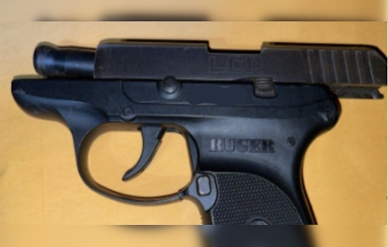Minneapolis Police Recover Firearms in Late Night Safety Operation