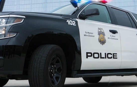 Minneapolis Police Swiftly Arrest 18-Year-Old Suspect Following Downtown Shooting