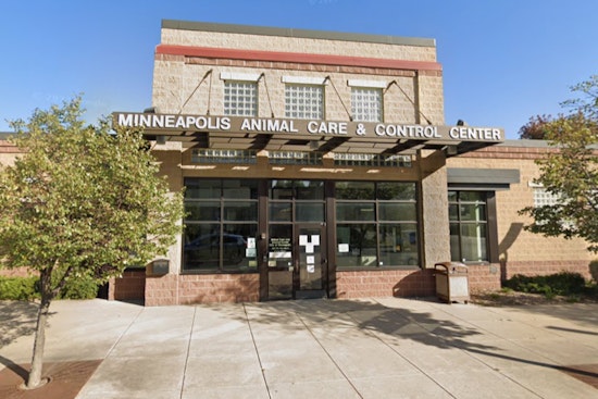 Minneapolis Residents Urged to Vaccinate Pets as Bat-Related Rabies Cases Rise