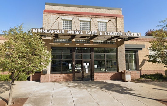 Minneapolis Residents Urged to Vaccinate Pets as Bat-Related Rabies Cases Rise