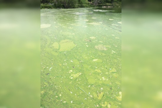 Minneapolis Warns of Toxic Algae Blooms in Local Lakes, Urges Caution for Residents and Pets