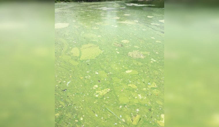 Minneapolis Warns of Toxic Algae Blooms in Local Lakes, Urges Caution for Residents and Pets