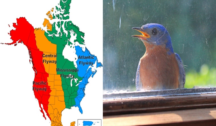 Minnetonka Urges Residents to Dim Lights for Wildlife Safety During Bird Migration Season