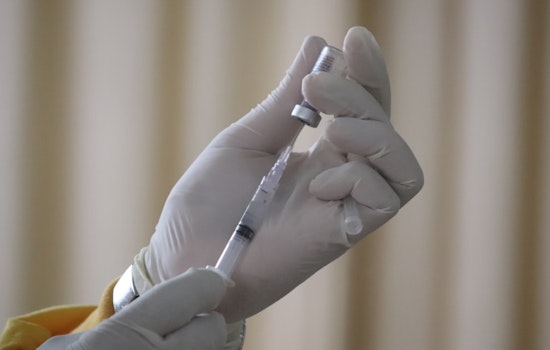 MIT and Georgia Tech Scientists Unveil Potential Cancer-Fighting Vaccine