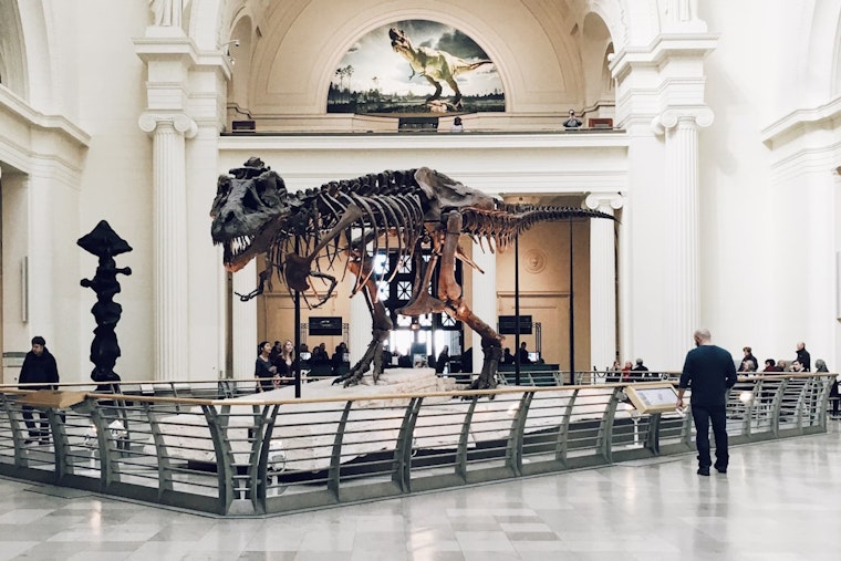 MIT Researchers Crack Age-Old Dino Discovery that Explains Collagen's Million-Year Survival Mystery