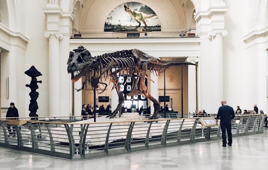 MIT Researchers Crack Age-Old Dino Discovery that Explains Collagen's Million-Year Survival Mystery