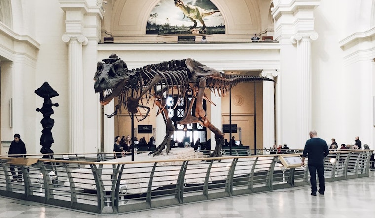 MIT Researchers Crack Age-Old Dino Discovery that Explains Collagen's Million-Year Survival Mystery