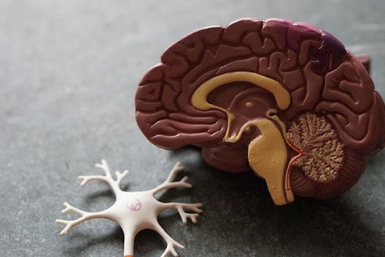 MIT Researchers Pioneer Placebo Pain Relief Model Based on Environmental Cues