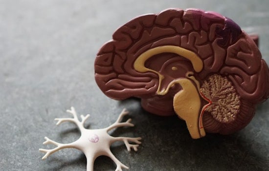 MIT Researchers Pioneer Placebo Pain Relief Model Based on Environmental Cues