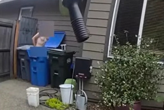 Naked Suspect with Felony Warrants Captured by K9 Bronco After Pursuit in Pierce County