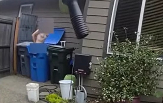 Naked Suspect with Felony Warrants Captured by K9 Bronco After Pursuit in Pierce County