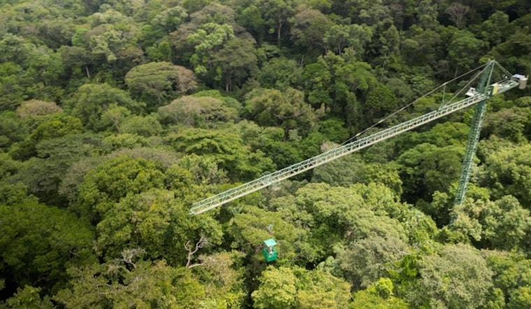 NASA's Jet Propulsion Laboratory Unveils Role of Wildfires and Logging in Amazon Carbon Emissions Using LiDAR Drones
