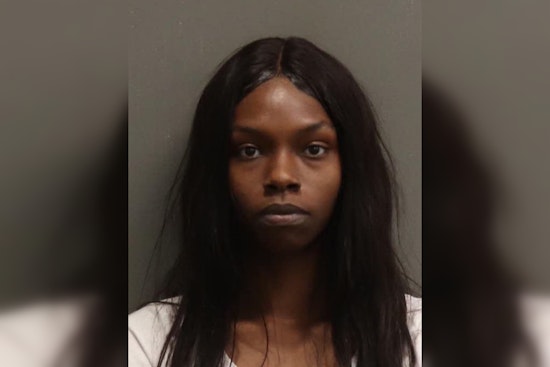 Nashville Mother Charged with Child Endangerment for Leaving Kids in Unattended Car on Hot Day