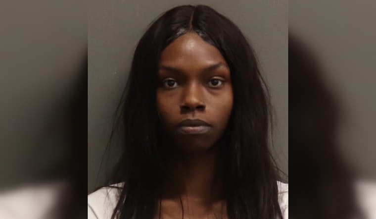 Nashville Mother Charged with Child Endangerment for Leaving Kids in Unattended Car on Hot Day