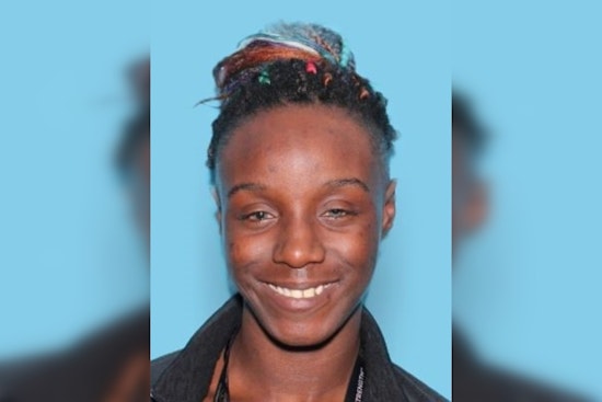 Nashville Police Seek Public’s Aid in Locating Missing Woman with Urgent Medical Needs