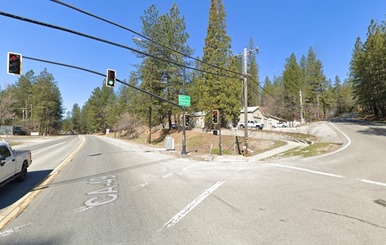Nevada City Officers Struck by Suspected DUI Driver After Responding to Bear-Related Highway Incident