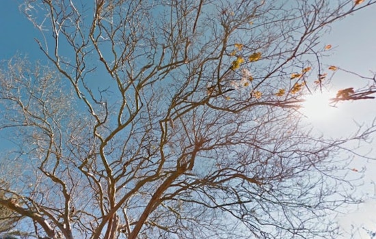 New Orleans Enjoys Mild 85°F with Sunny Days Ahead, NWS Forecasts Minimal Rainfall Chances