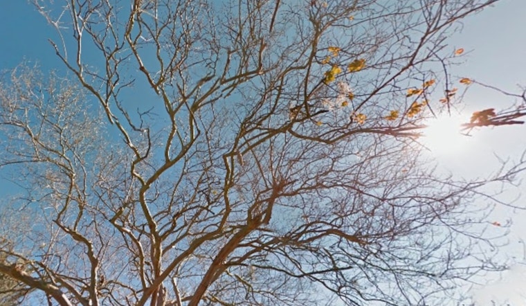 New Orleans Enjoys Mild 85°F with Sunny Days Ahead, NWS Forecasts Minimal Rainfall Chances