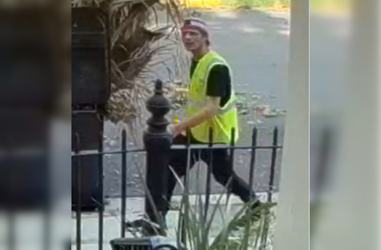 New Orleans Police Seek Public Help to Identify Suspect in Carondelet Street Theft