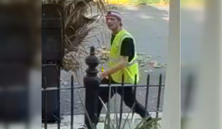 New Orleans Police Seek Public Help to Identify Suspect in Carondelet Street Theft