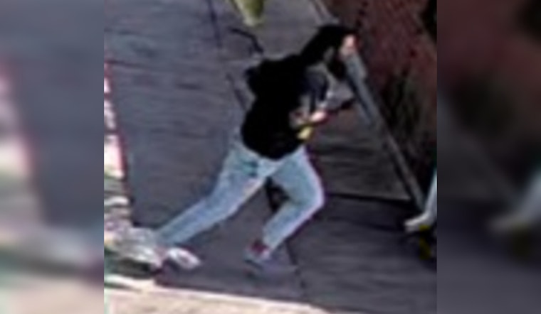 New Orleans Police Seek Public's Aid to Identify Person of Interest in August Felony Case