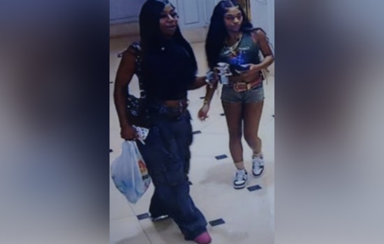 New Orleans Police Seek Public's Help to Identify Suspects in Canal Street Felony Theft and Drugging Case