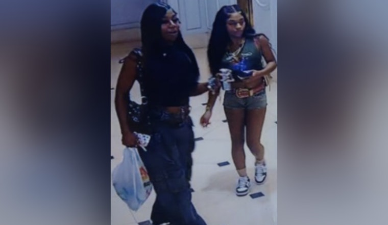 New Orleans Police Seek Public's Help to Identify Suspects in Canal Street Felony Theft and Drugging Case