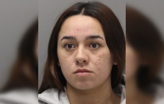 New York Duo Suspected of Organized Retail Theft Arrested at Delaware's Christiana Mall