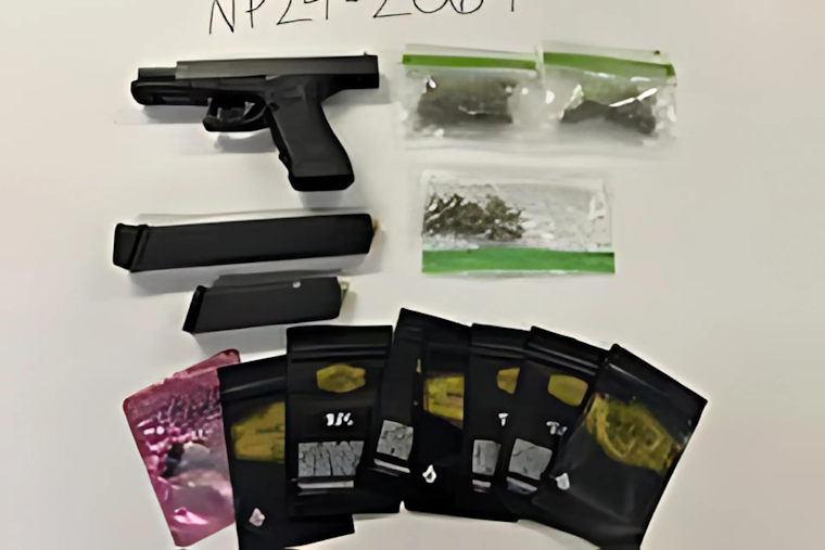 Novato Police Arrest 23-year-old Tariq Wade after Foot Chase, Suspected of Firearms and Cannabis Offenses