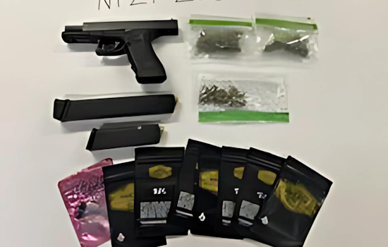 Novato Police Arrest 23-year-old Tariq Wade after Foot Chase, Suspected of Firearms and Cannabis Offenses