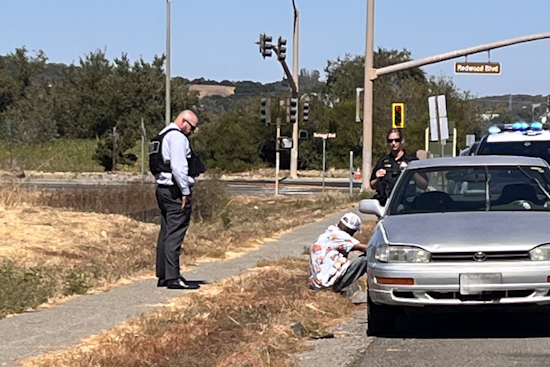 Novato Police Nab Suspected Shoplifter in Target Burglary with Help from Loss Prevention Team