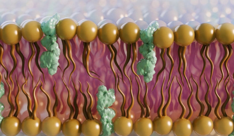 Oak Ridge Scientists Probe Fungus Cell Secrets to Combat Rise in Deadly Infections