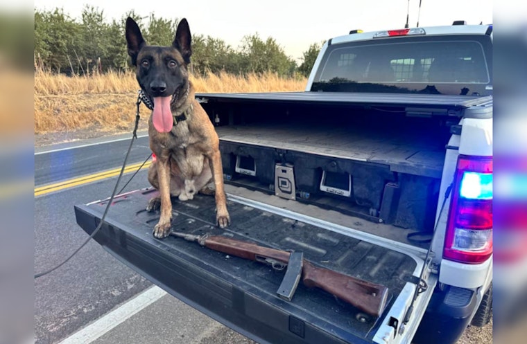 Oakdale Man Arrested, Stolen Rifle Recovered After Shooting Incident Near Woodward Reservoir