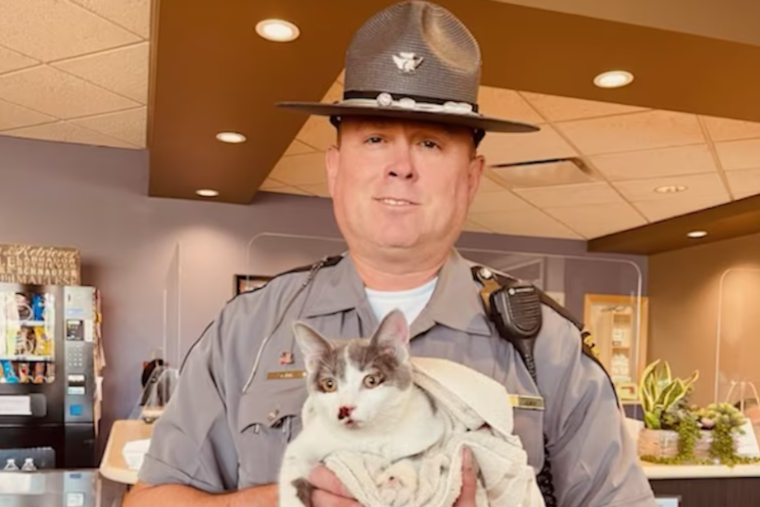 Ohio State Trooper Heroically Rescues Injured Kitten from Busy I-77